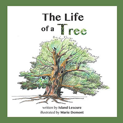 The Life Of A Tree