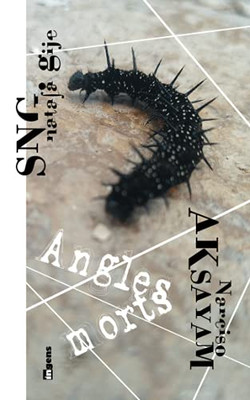 Angles Morts (French Edition)