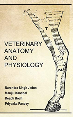 Veterinary Anatomy And Physiology