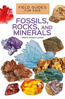 Fossils, Rocks, And Minerals (Field Guides For Kids)