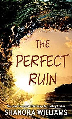 The Perfect Ruin (Thorndike Press Large Print Black Voices)