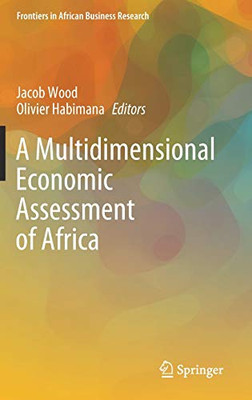 A Multidimensional Economic Assessment Of Africa (Frontiers In African Business Research) - Hardcover