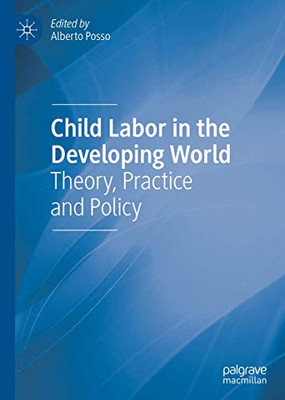 Child Labor In The Developing World: Theory, Practice And Policy - Hardcover