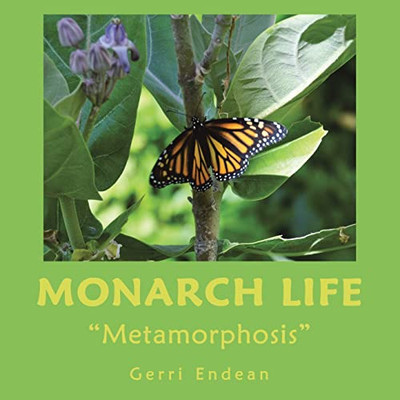 Monarch Life: Metamorphosis - Paperback