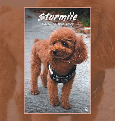 Stormiie: Based on a True Story - Hardcover