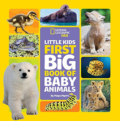 Little Kids First Big Book of Baby Animals (First Big Books) - Hardcover