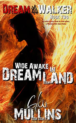 Wide Awake In Dream Land (Dream Walker) - Paperback