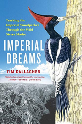 Imperial Dreams: Tracking The Imperial Woodpecker Through The Wild