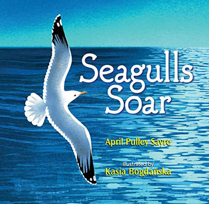 Seagulls Soar