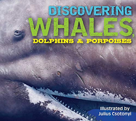 Discovering Whales, Dolphins & Porpoises