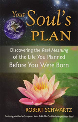 Your Soul's Plan: Discovering the Real Meaning of the Life You Planned Before You Were Born