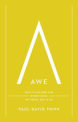 Awe: Why It Matters for Everything We Think, Say, and Do