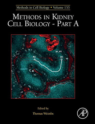 Methods in Kidney Cell Biology Part A (Volume 153) (Methods in Cell Biology, Volume 153)