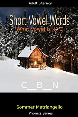 Short Vowel Words: What Vowel Is It? 3