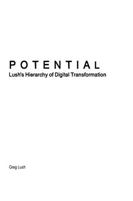Potential | Lush's Hierarchy of Digital Transformation