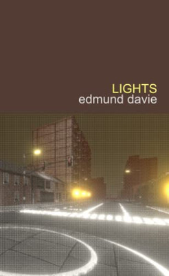 Lights: A Novel With an Index