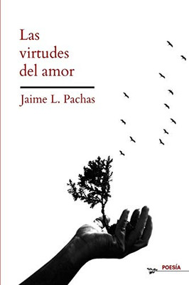 Las virtudes del amor (Spanish Edition)