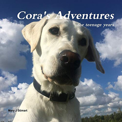 Cora's Adventures: the teenage years