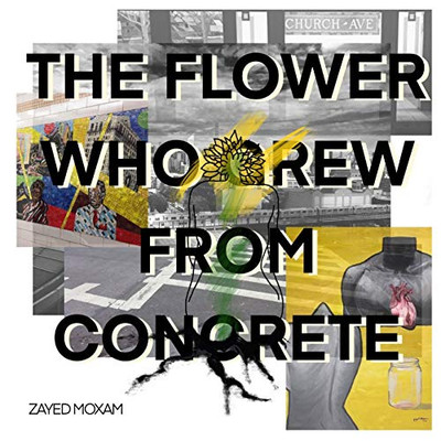 The Flower Who Grew From Concrete