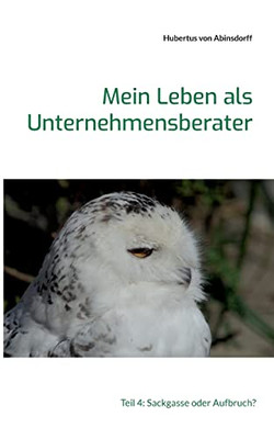 Mein Leben als Unternehmensberater: Teil 4: Sackgasse oder Aufbruch? (German Edition)