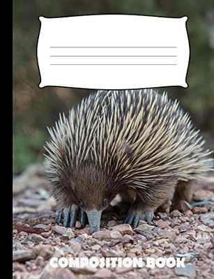 Composition Book: Anteater Composition Notebook Wide Ruled