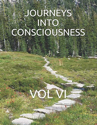 Journeys Into Consciousness: Vol Vi