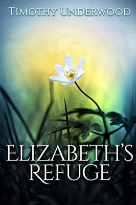 Elizabeth'S Refuge: An Elizabeth And Darcy Story