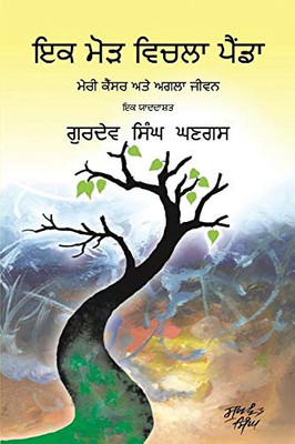 Journey Through A Turning Point: Punjabi Edition (Indic Edition)