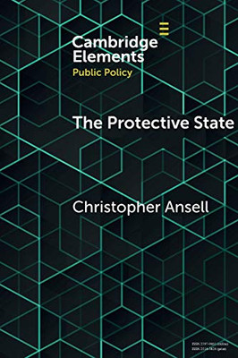 The Protective State (Elements In Public Policy)
