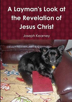 A Layman'S Look At The Revelation Of Jesus Christ