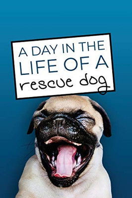 A Day In The Life Of A Rescue Dog