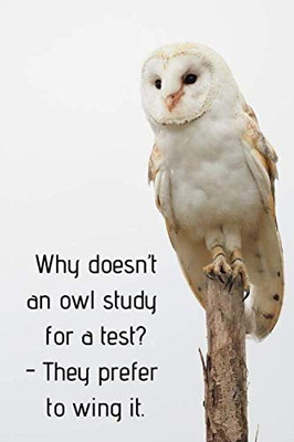 Why DoesnT An Owl Study For A Test? - They Prefer To Wing It.