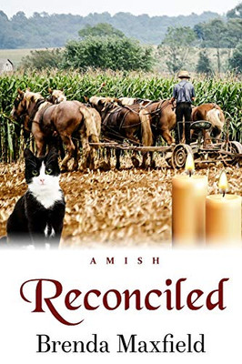 Reconciled (Hannah'S Story)