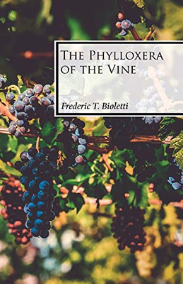 The Phylloxera Of The Vine