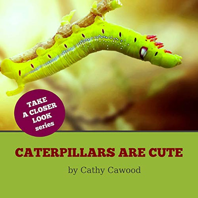 Caterpillars Are Cute (Take A Closer Look!)