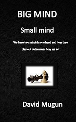 Big Mind Small Mind: We Have Two Minds In One Head