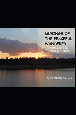 Musings Of The Peaceful Wanderer: From Madness To Meditation