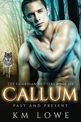 Callum: Past And Present (The Guardian Shifters)