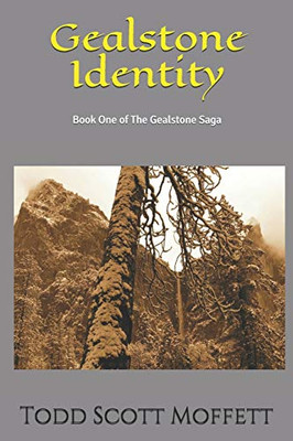 Gealstone Identity: Book One Of The Gealstone Saga