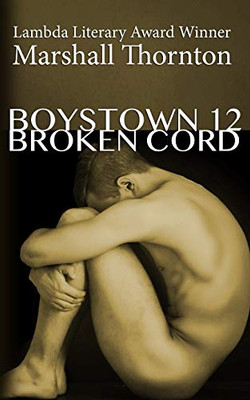 Boystown 12: Broken Cord (Boystown Mysteries)