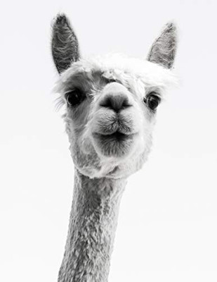 Knitting Graph Paper 2:3 & 4:5 Ratio 8.5" X 11": Llama Photograph