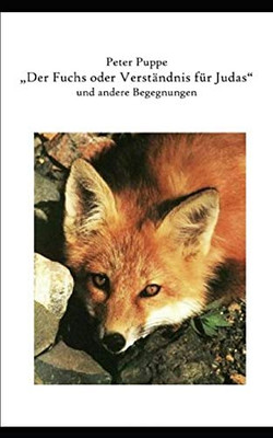 Der Fuchs Oder Verständnis Für Judas (German Edition)