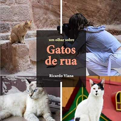 Gatos De Rua: Um Olhar Sobre (Portuguese Edition)