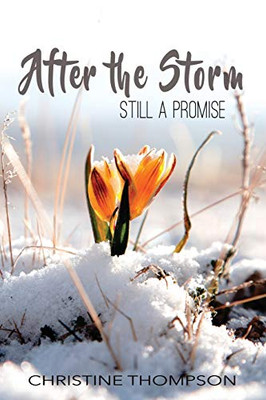 After The Storm: Still A Promise