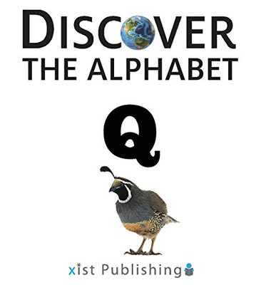 Q (17) (Discover The Alphabet)