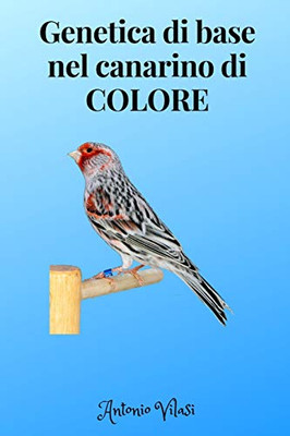 Genetica Di Base Nel Canarino Di Colore (Italian Edition)