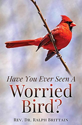 Have You Ever Seen A Worried Bird?