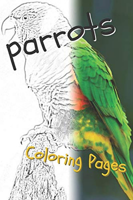 Parrot Coloring Pages: Beautiful Parrots Drawings For Kids And For Adults Relaxation - 9781090517456