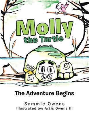 Molly The Turtle: The Adventure Begins - 9781532072581
