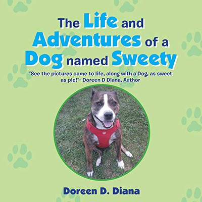 The Life And Adventures Of A Dog Named Sweety - 9781532078873